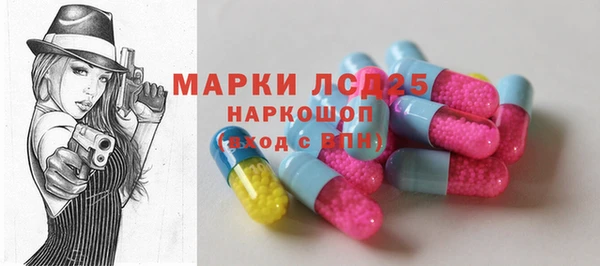 прущий лед Алзамай