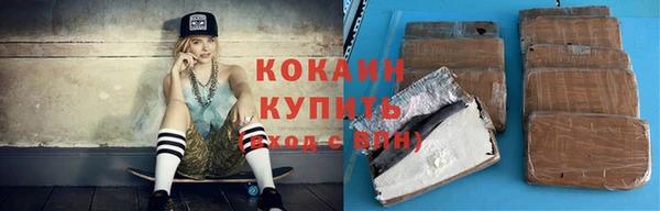 шишки Алексин