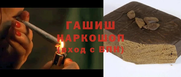 прущий лед Алзамай