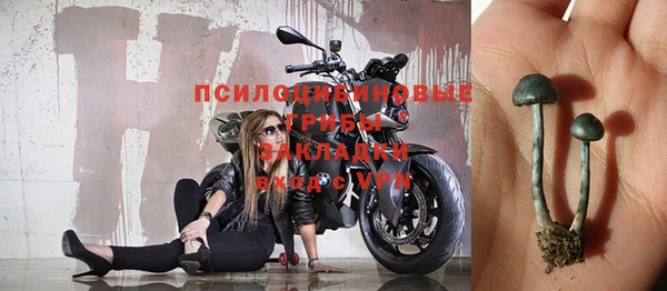прущий лед Алзамай