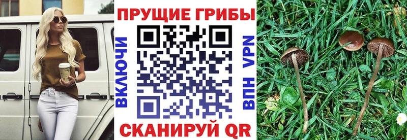 Галлюциногенные грибы Magic Shrooms  hydra как войти  Биробиджан 