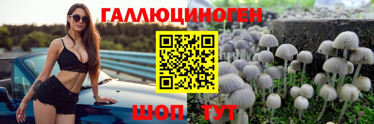 Галлюциногенные грибы Cubensis  Вход с VPN  Биробиджан  Псилоцибиновые грибы мухоморы 